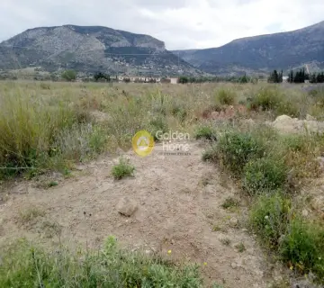 Professional Plot 23000m<sup>2</sup> for sale photo 5