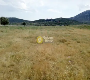 Professional Plot 23000m<sup>2</sup> for sale photo 6