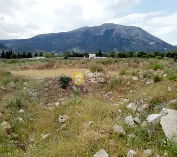 Professional Plot 23000m<sup>2</sup> for sale photo 7
