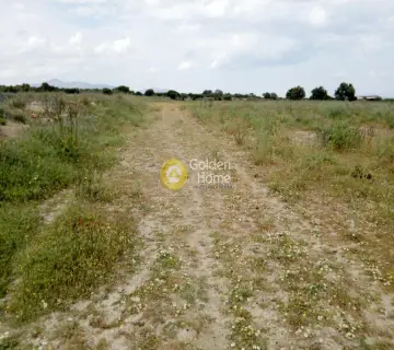 Professional Plot 23000m<sup>2</sup> for sale photo 8