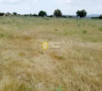 Professional Plot 23000m<sup>2</sup> for sale photo 9