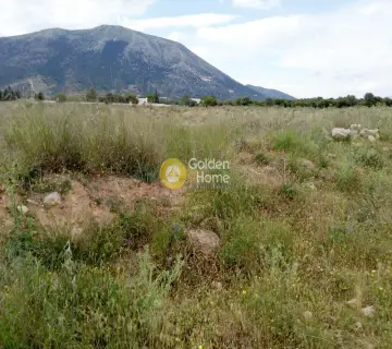 Professional Plot 23000m<sup>2</sup> for sale photo 4