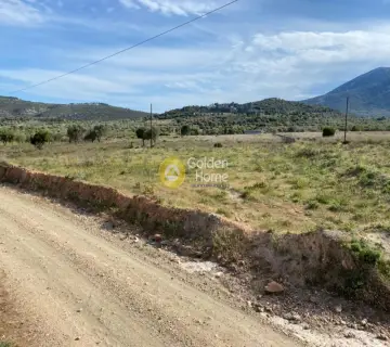 Professional Plot 23000m<sup>2</sup> for sale photo 2577164