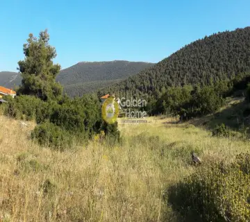 Residential 525m<sup>2</sup> for sale photo 9