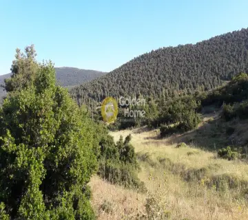 Residential 525m<sup>2</sup> for sale photo 11