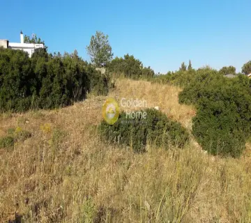 Residential 525m<sup>2</sup> for sale photo 14
