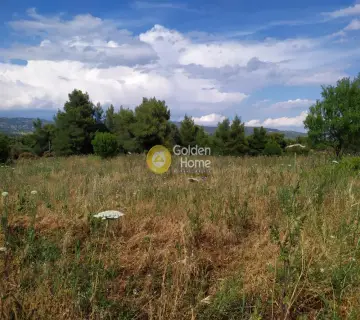 Parcel 15100m<sup>2</sup> for sale photo 5