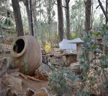 Μονοκατοικία 220τ.μ. προς πώληση φωτογραφία 24