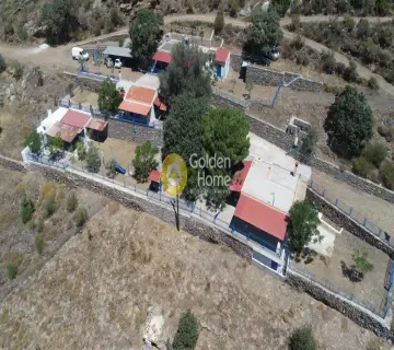 Golden Home Property Image