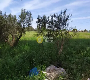 Επαγγελ. Οικόπεδο 9642τ.μ. προς πώληση φωτογραφία 2
