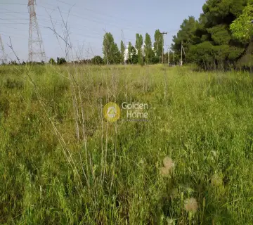 Επαγγελ. Οικόπεδο 9642τ.μ. προς πώληση φωτογραφία 6