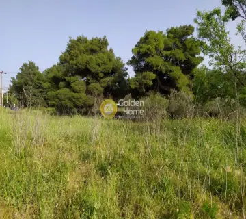 Επαγγελ. Οικόπεδο 9642τ.μ. προς πώληση φωτογραφία 7