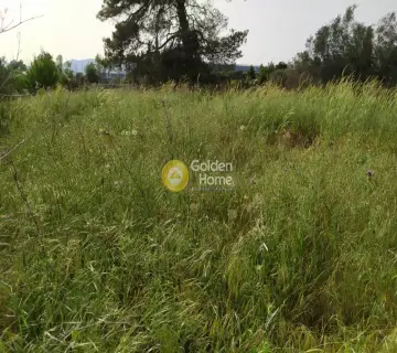 Επαγγελ. Οικόπεδο 9642τ.μ. προς πώληση φωτογραφία 4