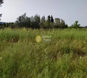 Επαγγελ. Οικόπεδο 9642τ.μ. προς πώληση φωτογραφία 3