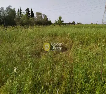 Επαγγελ. Οικόπεδο 9642τ.μ. προς πώληση φωτογραφία 5