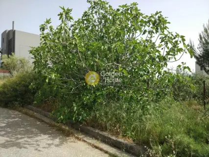 Residential 210m<sup>2</sup> for sale photo 4