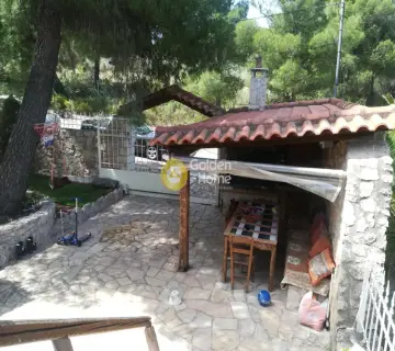 House 250m<sup>2</sup> for rent photo 39