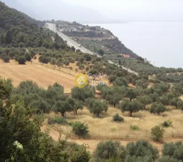Parcel 200000m<sup>2</sup> for sale photo 1