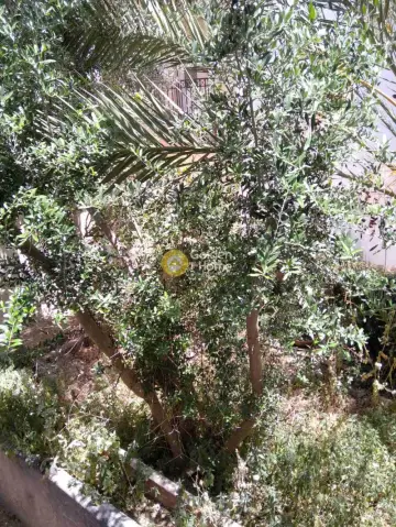 Οικιστικό 134τ.μ. προς πώληση φωτογραφία 3
