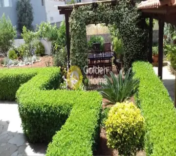 Golden Home Property Image