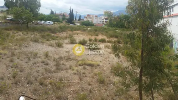 Professional Plot 2850m<sup>2</sup> for rent photo 5