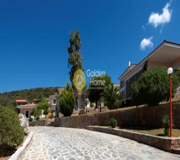 Residence complex 4800m<sup>2</sup> for sale photo 7