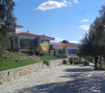 Residence complex 4800m<sup>2</sup> for sale photo 17