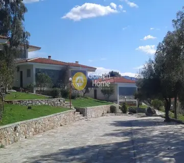 Residence complex 4800m<sup>2</sup> for sale photo 20