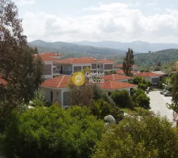 Residence complex 4800m<sup>2</sup> for sale photo 25