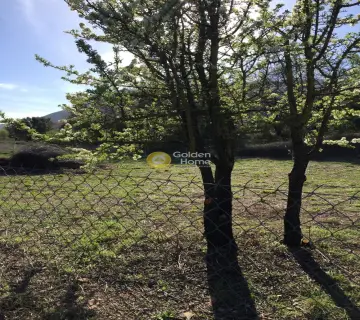 住宅 505m<sup>2</sup> for sale photo 2130352