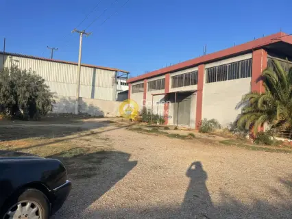 Industrial 2700m<sup>2</sup> for sale photo 22
