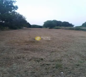 Professional Plot 3646m<sup>2</sup> for sale photo 3