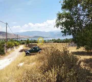Residential 4008m<sup>2</sup> for sale photo 6