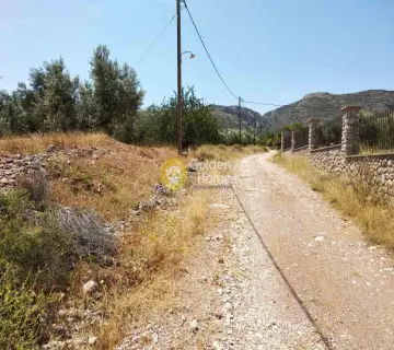 Residential 4008m<sup>2</sup> for sale photo 4
