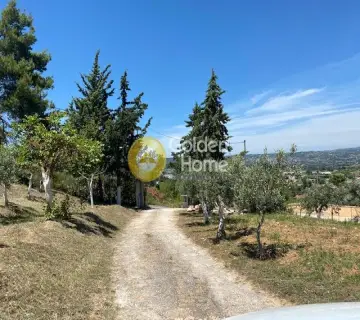 Home 360m<sup>2</sup> for sale photo 1