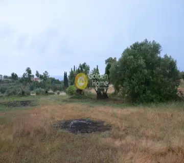 Αγροτεμάχιο 4860τ.μ. προς πώληση φωτογραφία 5