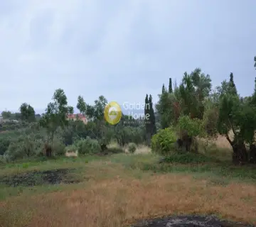Αγροτεμάχιο 4860τ.μ. προς πώληση φωτογραφία 6