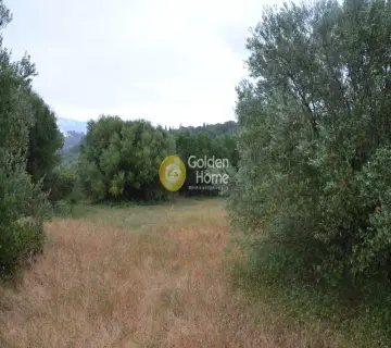 Αγροτεμάχιο 4860τ.μ. προς πώληση φωτογραφία 8
