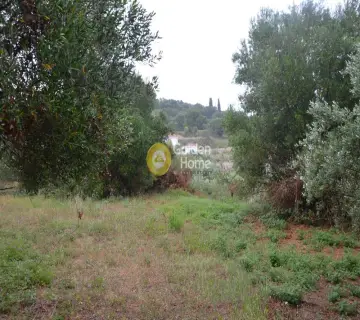 Αγροτεμάχιο 4860τ.μ. προς πώληση φωτογραφία 2144936