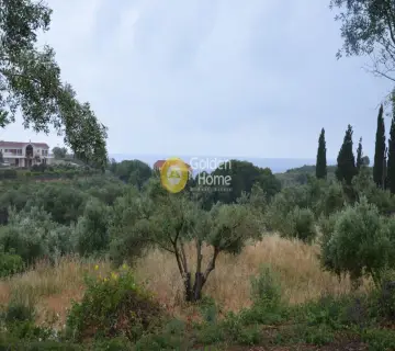 Αγροτεμάχιο 4860τ.μ. προς πώληση φωτογραφία 2144937