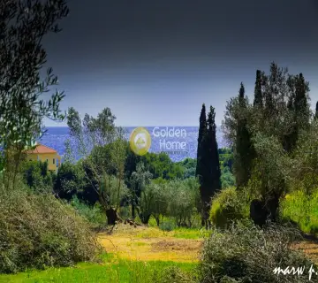Αγροτεμάχιο 4860τ.μ. προς πώληση φωτογραφία 3