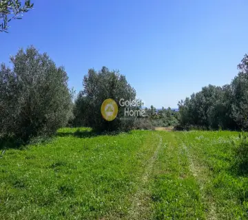 Αγροτεμάχιο 4860τ.μ. προς πώληση φωτογραφία 4