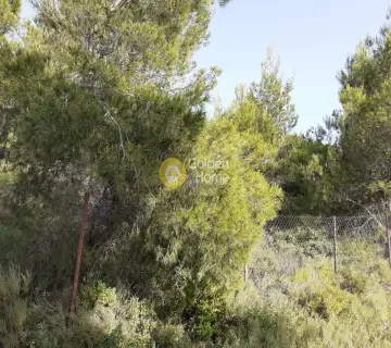 Οικιστικό 285τ.μ. προς πώληση φωτογραφία 2145490
