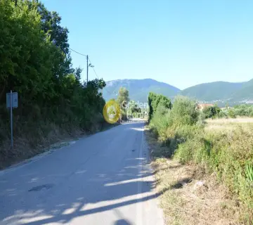 Αγροτεμάχιο 5011τ.μ. προς πώληση φωτογραφία 2159976