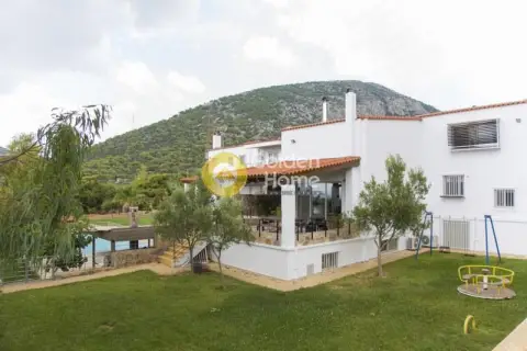 Residence complex 740m<sup>2</sup> for sale photo 59