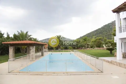 Residence complex 740m<sup>2</sup> for sale photo 63