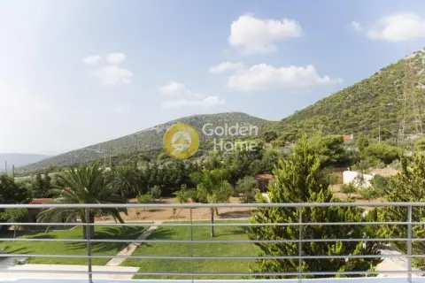 Residence complex 740m<sup>2</sup> for sale photo 89