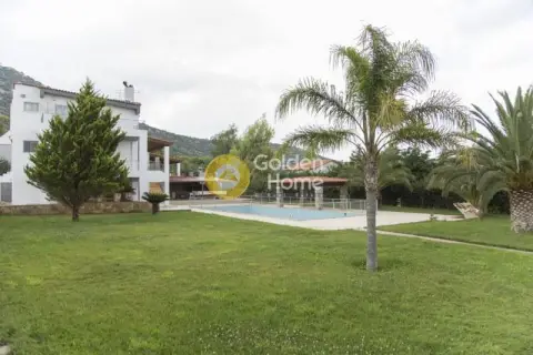 Residence complex 740m<sup>2</sup> for sale photo 90