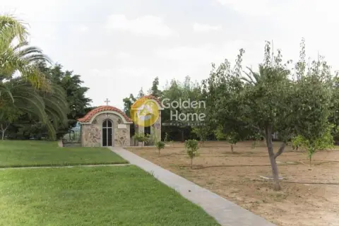 Residence complex 740m<sup>2</sup> for sale photo 91