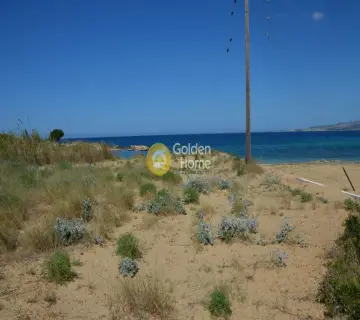 Αγροτεμάχιο 9180τ.μ. προς πώληση φωτογραφία 2159987